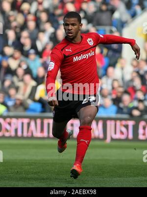 2 février 2013 - Championnat de Football nPower - Cardiff City Vs. La ville de Bristol - Frazer Campbell de Cardiff City - Photo : Paul Roberts /Oneuptop/Alamy. Banque D'Images