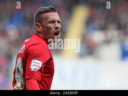 2 février 2013 - Championnat de Football nPower - Cardiff City Vs. La ville de Bristol - Craig Bellamy de Cardiff City en criant - Photo : Paul Roberts /Oneuptop/Alamy. Banque D'Images