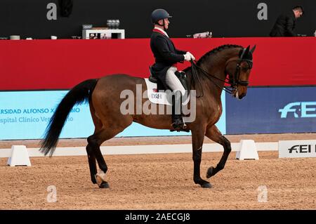 L'IFEMA, Madrid, Espagne. 29 novembre, 2019. Grand Prix de dressage, cheval de Madrid 2019 Semaine : Trofeo Universidad Alfonso X el Sabio. Richard Davison Banque D'Images