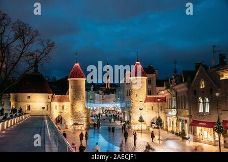 Tallinn, Estonie. Les gens autour de célèbre de la Porte Viru dans l'éclairage des rues à l'éclairage du soir ou de nuit. Noël, Noël, Nouvel An Maison de Vacances Banque D'Images