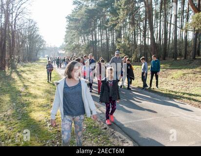 Krelingen, Allemagne, le 29 mars 2019 : Les enfants de marcher au printemps dans une forêt de conifères dans un village allemand Banque D'Images