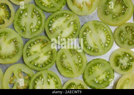 Solanum lycopersicum. Tranches de tomates vertes immatures n une poêle. Banque D'Images