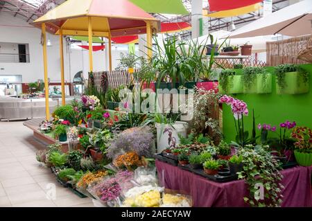 Le marché municipal de Aveiro, Portugal vente de fleurs fraîches et de plantes Banque D'Images