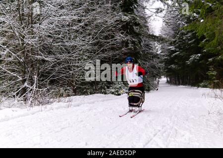 Perm, Russie - Décembre 07, 2019 : mobilité sportif durant une course de cross-country à une piste forestière à des compétitions régionales Banque D'Images