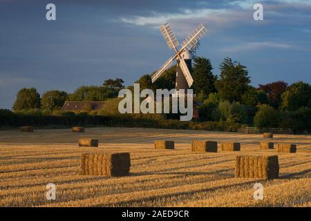 Moulin à vapeur Skidby qui, Hull, Yorkshire, Angleterre Banque D'Images