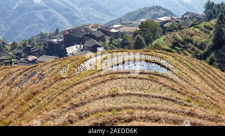 Le paysage ondulé Longsheng Rizières après la récolte - Au nord de la Province du Guangxi, Guillin, Chine Banque D'Images
