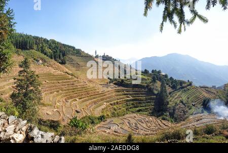 Le paysage ondulé Longsheng Rizières après la récolte - Au nord de la Province du Guangxi, Guillin, Chine Banque D'Images