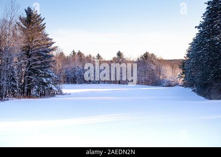 La lumière du soleil du matin qui traverse une forêt du Wisconsin après une tempête en décembre Banque D'Images