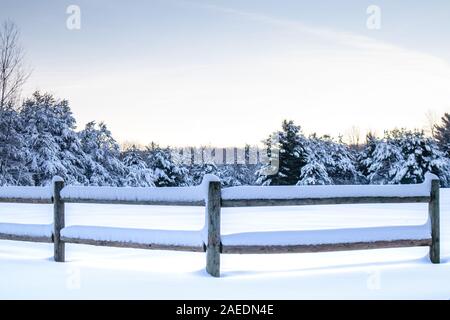 Clôture devant le couvert de neige d'une forêt à Wausau, Wisconsin Banque D'Images