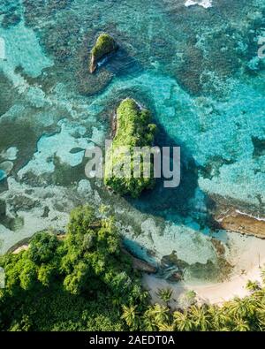 Monde de l'île, système de mangrove, l'eau turquoise, île tropicale, Escudo de Veraguas, Panama Banque D'Images