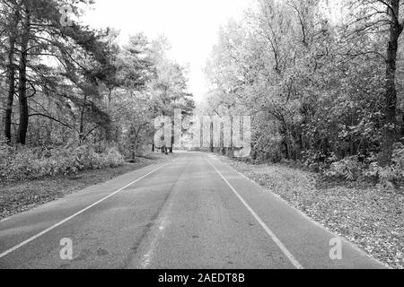 L'automne est tout autour de nous. Route à travers la forêt d'automne. Desolate road sur paysage naturel. Route asphaltée. Route dans la campagne. Voyager et voyager. Voyage de saison de l'automne. Vacances d'automne. Banque D'Images