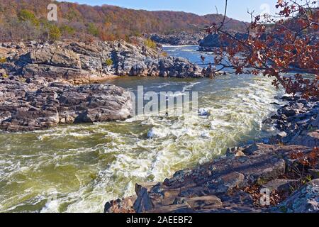 À écoulement complet après les rapides de la rivière Potomac à Great Falls State Park en Virginie, aux États-Unis. La fin de l'automne dans le parc de l'état des arbres à rives. Banque D'Images