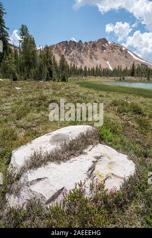 Bloc de granite dans un pré près d'un lac dans la région de Georgia's Celebrations. Banque D'Images