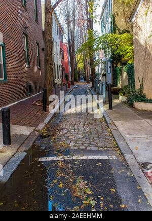 Philadelphie, Pennsylvanie, ruelle étroite à l'automne. Banque D'Images