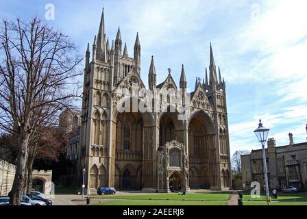 Vue avant de l'ouest de la cathédrale de Peterborough (Cathédrale de l'église de Saint Pierre, Saint Paul et Saint André), Peterborough (Cambridgeshire, Angleterre, Royaume-Uni, Europe. Banque D'Images