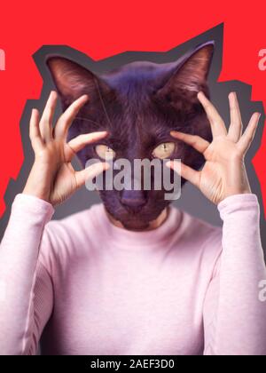 Art collage moderne. Modèle féminin avec cat face au lieu de tête sur fond lumineux. Banque D'Images