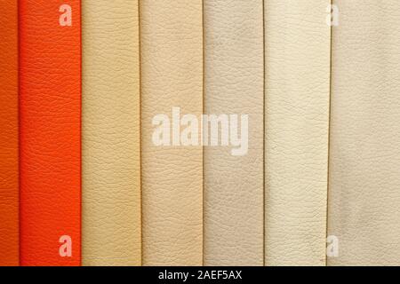 Dermatin élégant à l'intérieur de vos échantillons de close-up. Banque D'Images