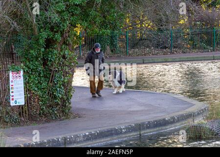 Northampton, Royaume-Uni, météo, 9 décembre 2019, d'un matin ensoleillé dans la région de Abington Park avec un vent frisquet. donc ce chien walker est enveloppé contre le froid. Credit : Keith J Smith./Alamy Live News Banque D'Images