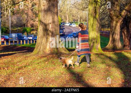 Northampton, Royaume-Uni, météo, 9 décembre 2019, d'un matin ensoleillé dans la région de Abington Park avec un vent froid. Cette jeune femme est enveloppé contre le froid de retourner vers sa voiture après avoir marché son petit chien. Credit : Keith J Smith./Alamy Live News Banque D'Images