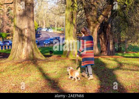 Northampton, Royaume-Uni, météo, 9 décembre 2019, d'un matin ensoleillé dans la région de Abington Park avec un vent froid. Cette jeune femme est enveloppé contre le froid de retourner vers sa voiture après avoir marché son petit chien. Credit : Keith J Smith./Alamy Live News Banque D'Images