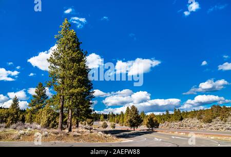 Héritage volcanique Scenic Byway près du Mont Shasta en Californie Banque D'Images