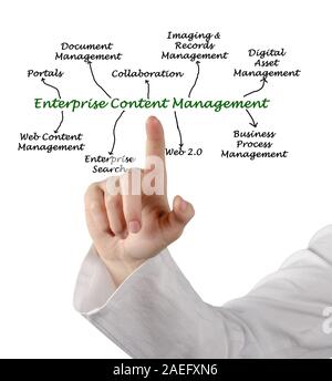 Schéma de la gestion de contenu d'entreprise Banque D'Images