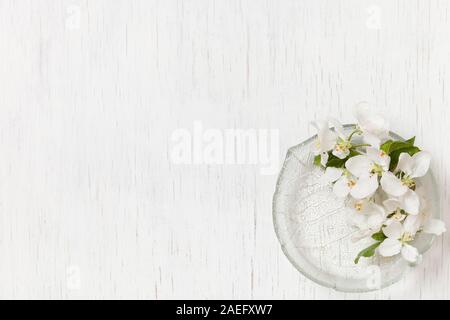 Vue de dessus sur de belles fleurs de pommier dans une plaque de verre sur un fond de bois blanc. Printemps fleur de pommier. Fleurs blanches. Mise à plat. Printemps con Banque D'Images