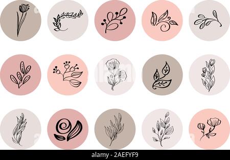 Mettez en surbrillance l'icône de la couverture. Mettez en surbrillance Histoire naturelle. Logo Floral dessiné à la main. Logo Modèle pour photographe, mode, studio de yoga. Style monolines Illustration de Vecteur