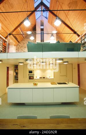 L'architecture. Intérieur résidentiel moderne avec cuisine-séjour, salon en mezzanine et plafond cathédrale. Banque D'Images