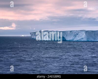 Grand iceberg tabulaire flottant dans le détroit de Bransfield près de la pointe nord de la péninsule Antarctique, l'Antarctique Banque D'Images