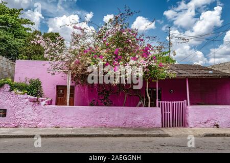 Bâtiment rose peint de couleurs vives, avec de plus en plus d'arbustes bougainvilliers en dehors de Valladolid, Yucatan, Mexique. Banque D'Images