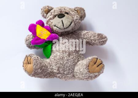 Ours holding flower avec Maman sur le doux cuddly toy isolé sur fond blanc - Cadeau Fête des mères idéal présent Banque D'Images