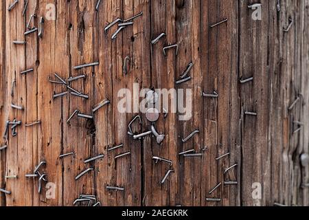 Un grand nombre de clous et d'agrafes conduits dans un poteau téléphonique à Astoria, Queens, New York City, USA. Banque D'Images