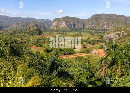 Viñales, Pinar del Rio, Cuba, l'Amérique du Nord Banque D'Images