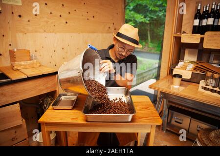 Japanese man wearing hat et verres assis dans un café, verser du café fraîchement torréfié haricots dans plateau métallique. Banque D'Images