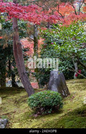 Jardin avec des couleurs de l'automne, à l'origine créé par Musō Soseki, du Tenryū-ji temple bouddhiste Zen, Kyoto, Japon Banque D'Images