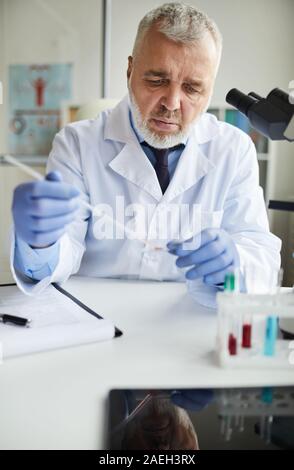 Serious mature scientist in Protective Gloves assis à la table et travailler avec les tubes à essai il fait expérience scientifique Banque D'Images