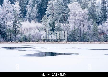 Lac de la forêt avec de l'eau flaque sur la glace en hiver Banque D'Images