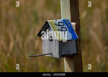 Gros plan d'une maison d'oiseau sur un post en Alaska avec une plaque de numéro de voiture Alaska utilisé comme revêtement de toiture étanche à l'arrière-plan flou Banque D'Images