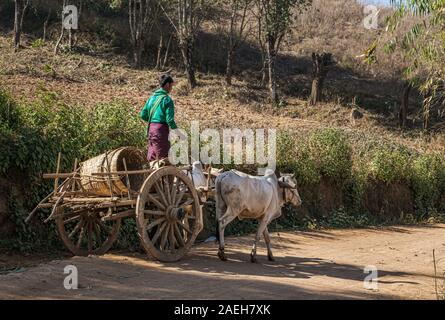 Les jeunes agriculteurs birman portant tenue traditionnelle (longyi) une charrette à cheval le long de la route poussiéreuse près de Kalaw. Banque D'Images