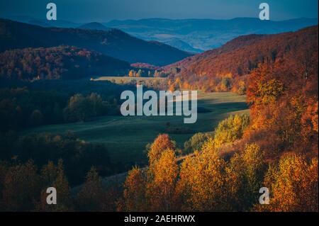 Dawn étonnant décor de l'automne avec des arbres sur la vallée au-dessus du brouillard, meadow Banque D'Images