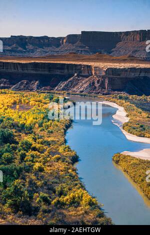 La Green River à l'automne, Canyonlands National Park Banque D'Images