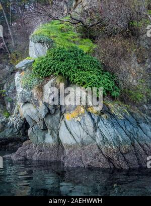 Un éperon rocheux sur les côtes de l'Île Sœur seconde dans les îles Gulf de la Colombie-Britannique, Canada. Banque D'Images