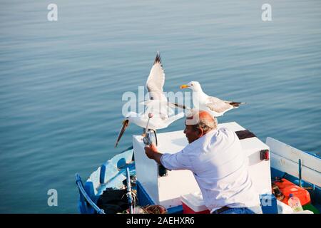 Un vieil homme rss goélands jaune sur un bateau de pêche traditionnel grec de Skala Eresou, Lesbos, Grèce. Banque D'Images