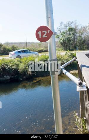 Un marqueur sur un pôle à 12 pieds montre les prévisions du niveau le niveau d'eau sera à dans l'année 2100 sur la promenade à l'Oasis Visitor Center de Big Cypress National Preserve à Ochopee, Florida, USA Banque D'Images