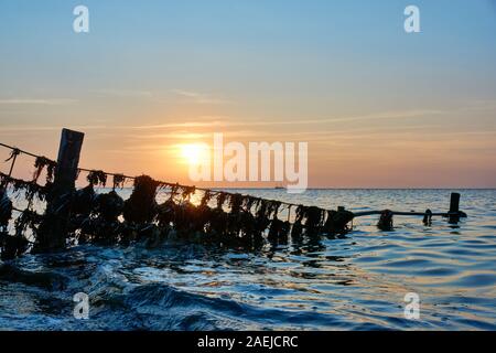 Silhouette d'une structure métallique avec des déchets plastiques et des algues en face de la mer et du coucher du soleil Banque D'Images