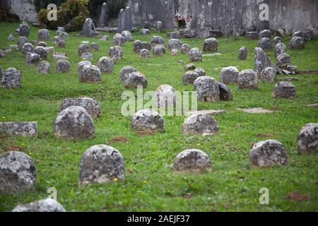 Un vieux cimetière juif de Dunajska Ulica 191 (Valdirose) près de Nova Gorica, Slovénie. Banque D'Images