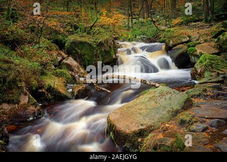 UK,Yorkshire du Sud, Peak District, près de Sheffield, Wyming Brook Cascades en automne Banque D'Images
