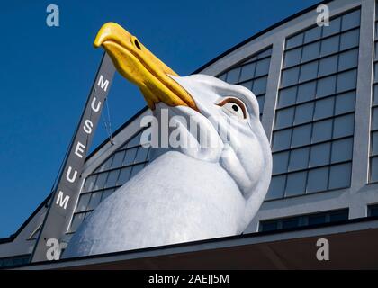 Mouette au-dessus de l'entrée de sculpture Musée d'Art de Helsinki à Helsinki, Finlande, Scandinavie, Europe Banque D'Images