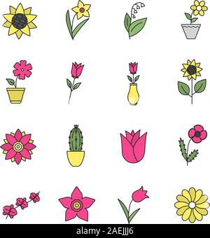 L'icône de couleur des fleurs. Jardin, nature, plantes d'intérieur. Blooming fleurs décoratives. Vector illustration isolé Illustration de Vecteur